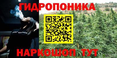 спиды Ярославль