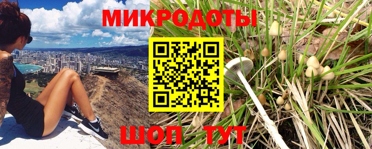 наркота  Галлюциногенные грибы Magic Shrooms  Вход с VPN  Усть-Илимск  Псилоцибиновые грибы Cubensis 